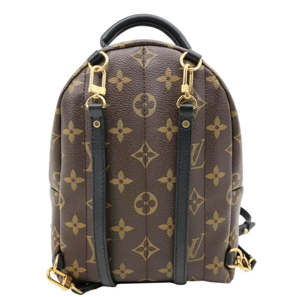 Louis Vuitton  Palm Spring World Tour Monogram Canvas Backpack Brown - Picture 4 of 14